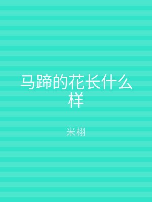 马蹄的花长什么样
