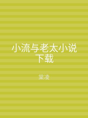 小流与老太小说下载