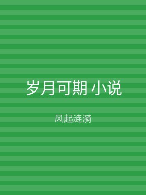 岁月可期 小说
