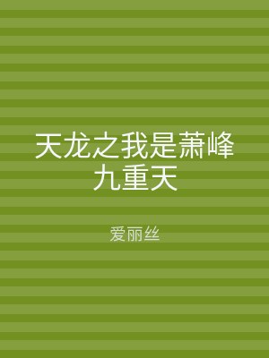 天龙之我是萧峰九重天