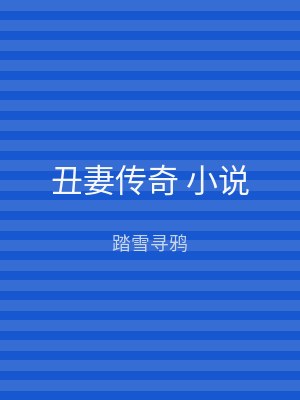 丑妻传奇 小说