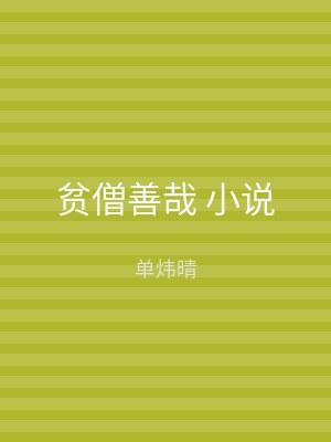 贫僧善哉 小说