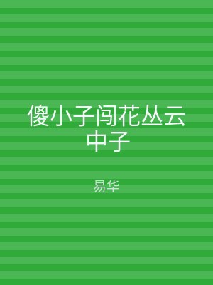 傻小子闯花丛云中子