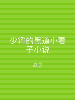 少将的黑道小妻子小说