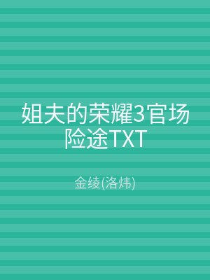 姐夫的荣耀3官场险途TXT