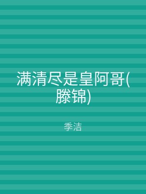满清尽是皇阿哥(滕锦)