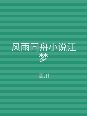 风雨同舟小说江梦