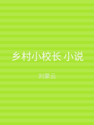 乡村小校长 小说