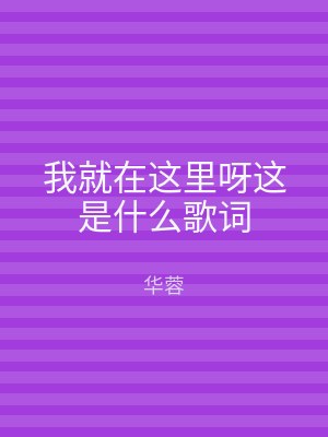 我就在这里呀这是什么歌词