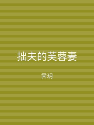 拙夫的芙蓉妻