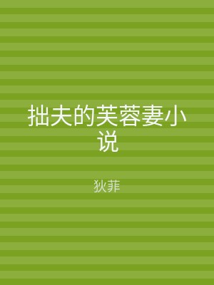 拙夫的芙蓉妻小说