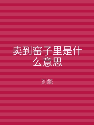 卖到窑子里是什么意思
