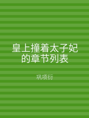 皇上撞着太子妃的章节列表