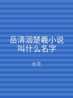 岳清洇楚羲小说叫什么名字