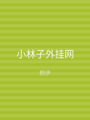 小林子外挂网