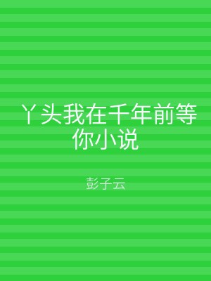 丫头我在千年前等你小说