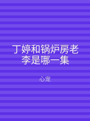 丁婷和锅炉房老李是哪一集