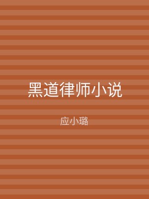 黑道律师小说