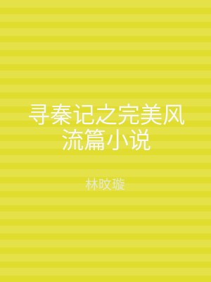 寻秦记之完美风流篇小说