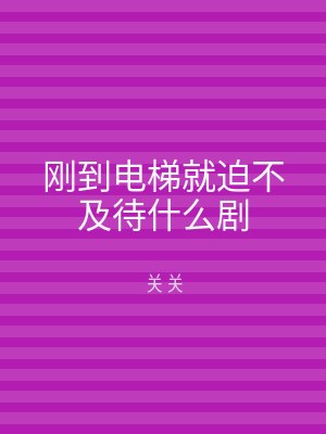 刚到电梯就迫不及待什么剧
