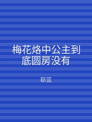 梅花烙中公主到底圆房没有