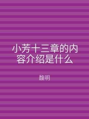 小芳十三章的内容介绍是什么