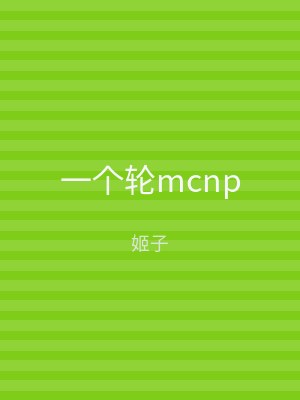 一个轮mcnp