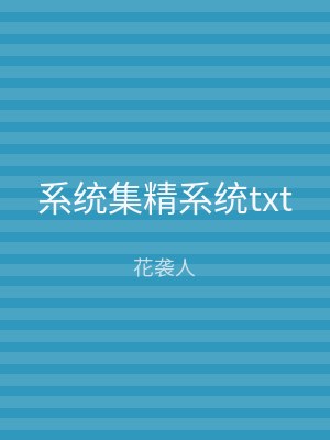 系统集精系统txt