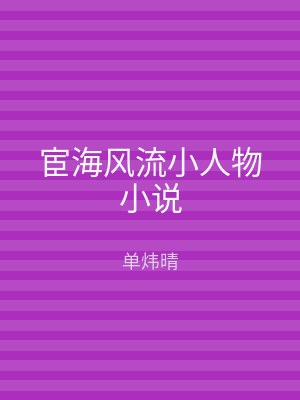 宦海风流小人物小说