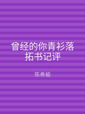曾经的你青衫落拓书记评
