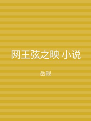 网王弦之映 小说
