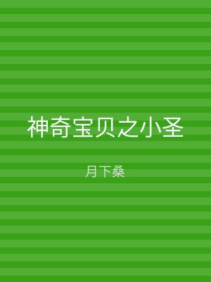 神奇宝贝之小圣