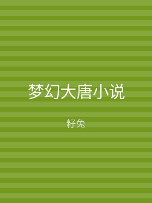 梦幻大唐小说