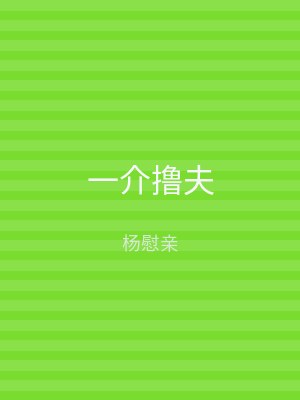 一介撸夫