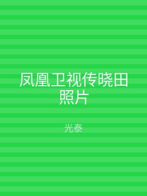 凤凰卫视传晓田照片