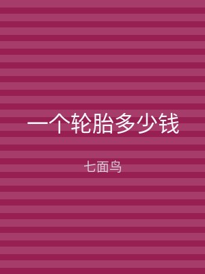 一个轮胎多少钱