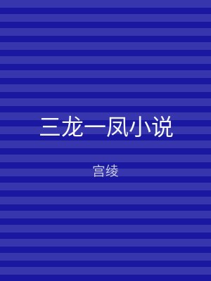 三龙一凤小说