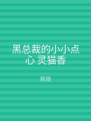 黑总裁的小小点心 灵猫香