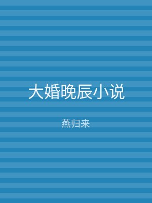 大婚晚辰小说