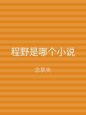 程野是哪个小说