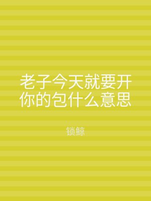 老子今天就要开你的包什么意思