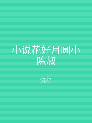 小说花好月圆小陈叔