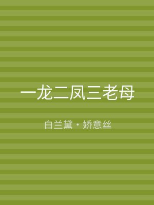 一龙二凤三老母