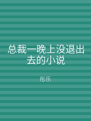 总裁一晚上没退出去的小说