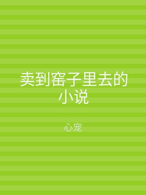 卖到窑子里去的小说