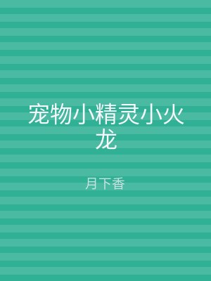 宠物小精灵小火龙