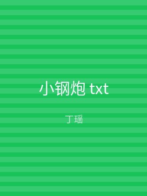 小钢炮 txt