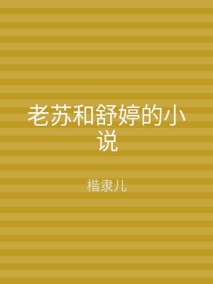 老苏和舒婷的小说