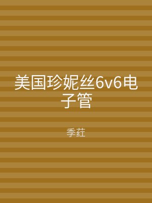 美国珍妮丝6v6电子管