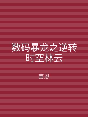 数码暴龙之逆转时空林云
